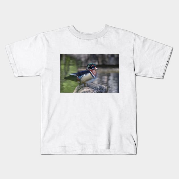 Wood duck perched on a log Kids T-Shirt by Jim Cumming